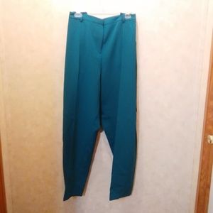 Plus Size Pencil Leg Teal Pants